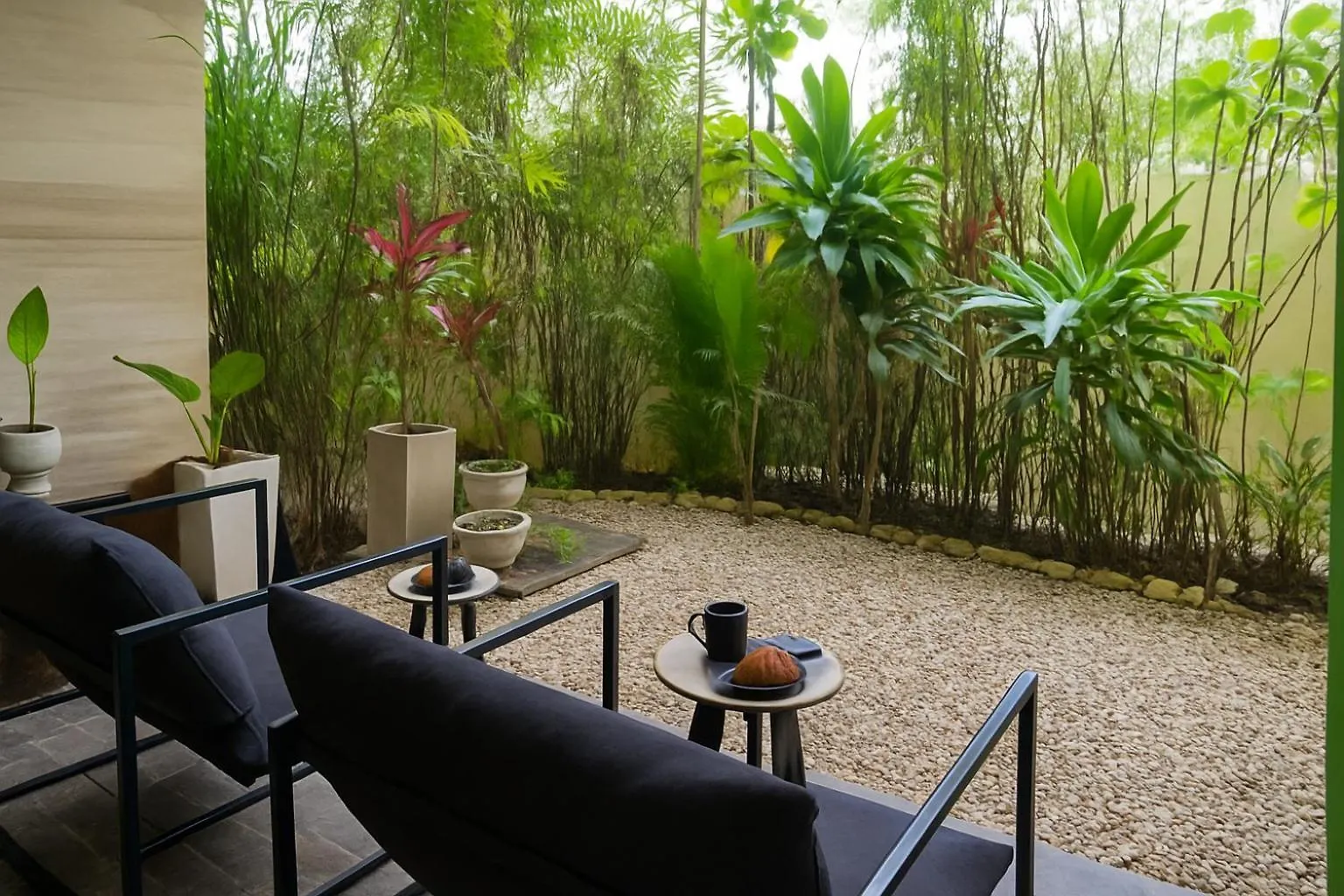 Apartment Grand Studio Avec Patio Prive Tulum Mexico